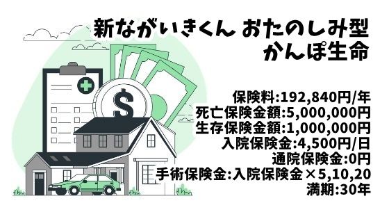かんぽ生命 新ながいきくん おたのしみ型 契約内容